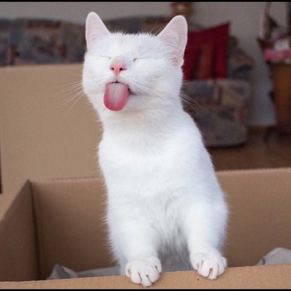 Open for business 24/7 🤩 - Picture 13 of 16